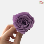 8 Blooms Preserved Rose