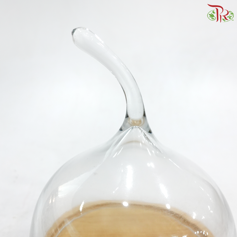 284423W - Pear Shape Glass Dome