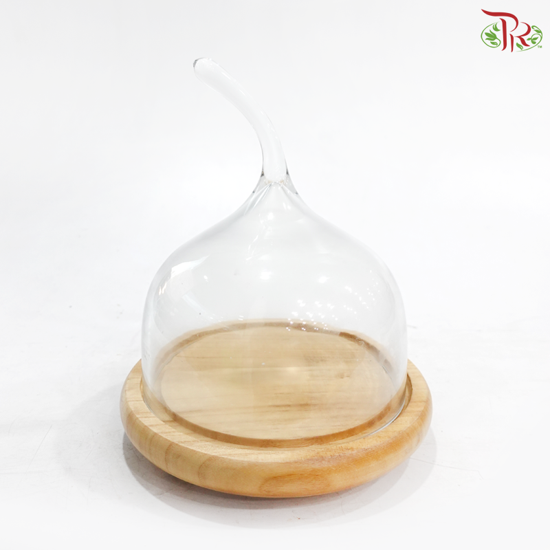 284423W - Pear Shape Glass Dome