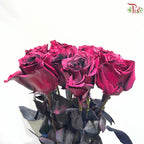 Ceres Rose Dyed Mondial