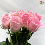 Ceres Rose