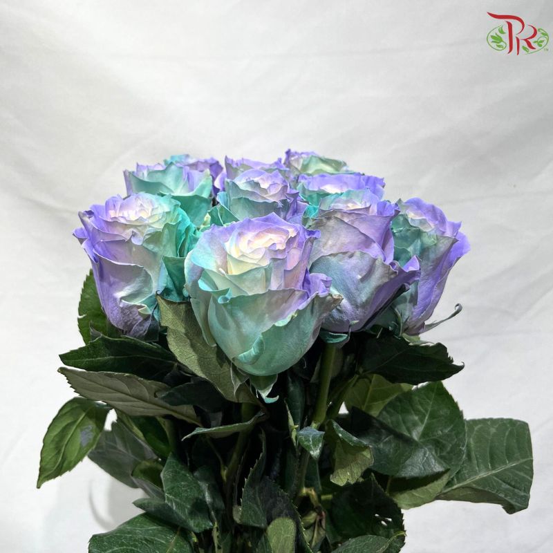 Ceres Rose Dyed Mondial