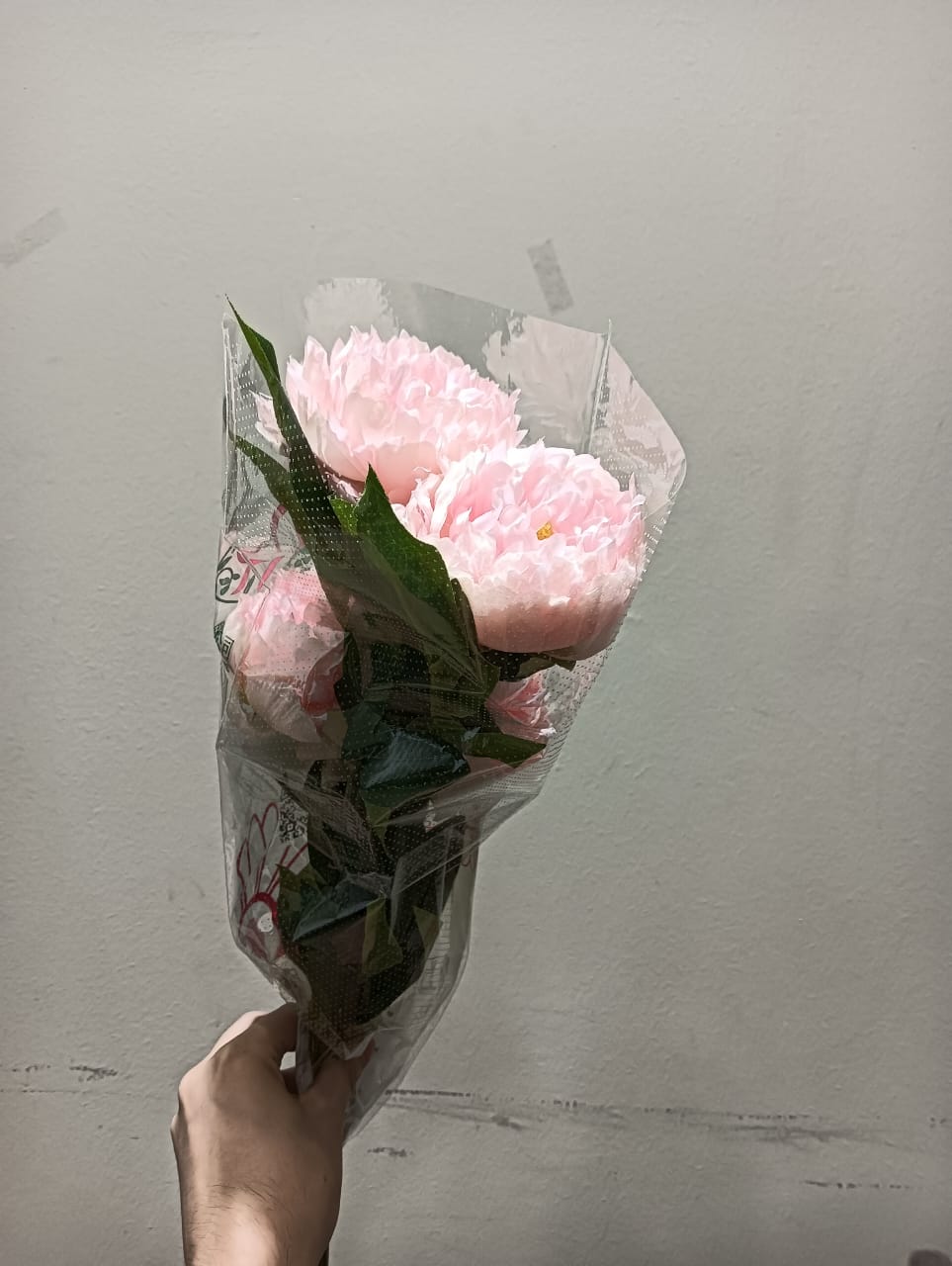2 Heads Luoyang Peony (2 Units)