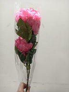 2 Heads Luoyang Peony (2 Units)