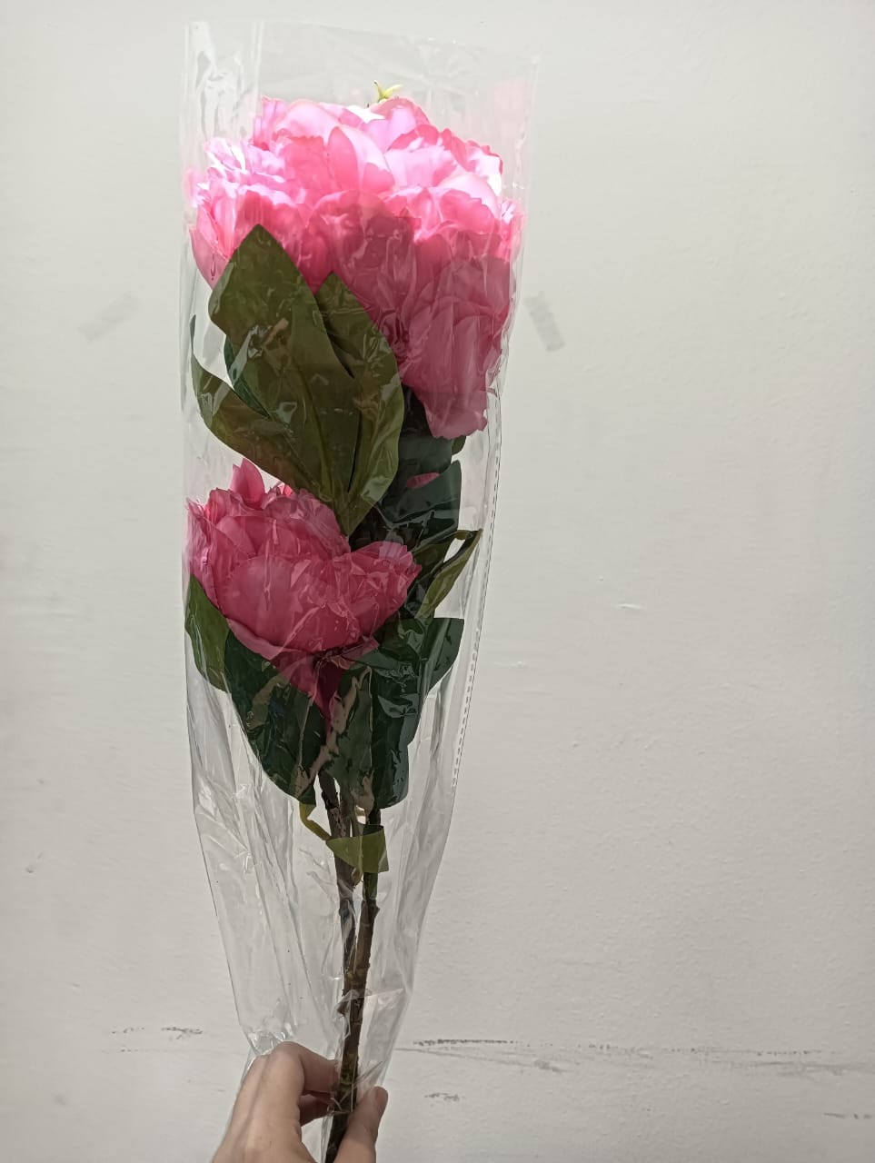 2 Heads Luoyang Peony (2 Units)