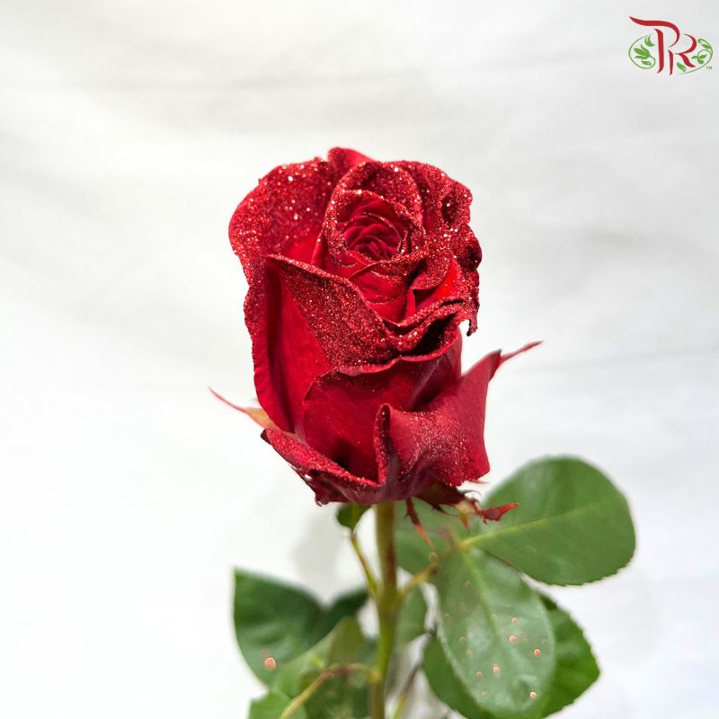 Ceres Rose Dyed Mondial