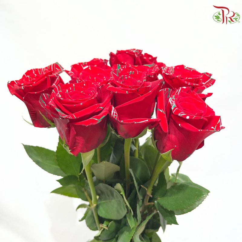 Ceres Rose Dyed Mondial