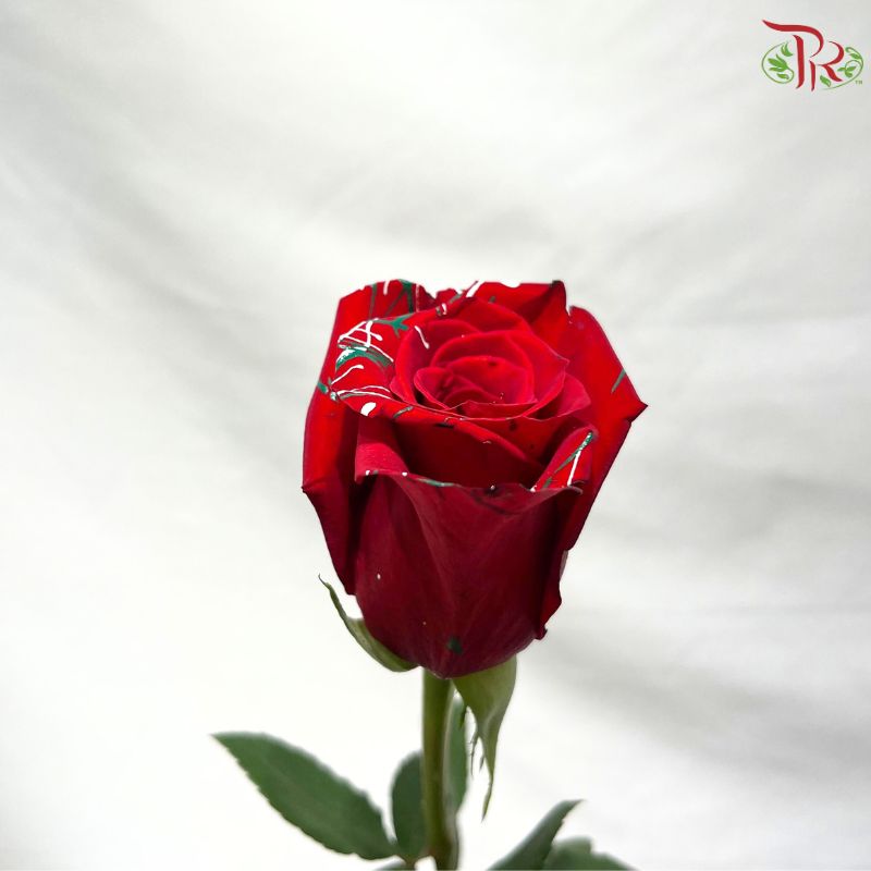 Ceres Rose Dyed Mondial