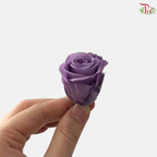 21 Blooms Preserved Rose