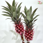 Ananas Torch
