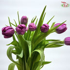 Tulip