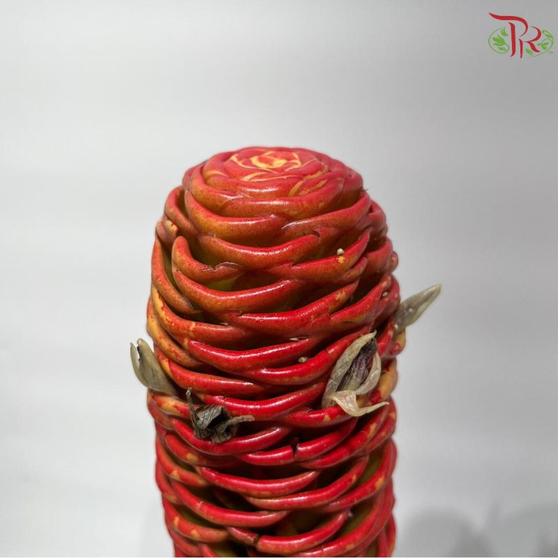 Shampoo Ginger Peach