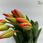 Tulip