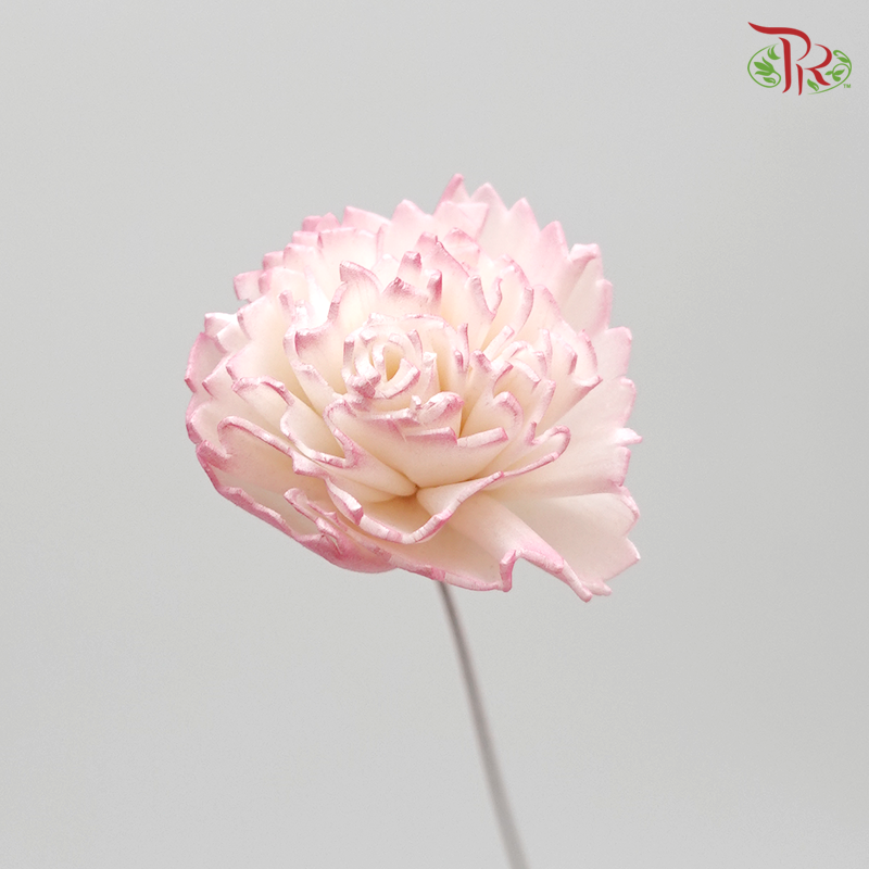 Preserved Sola Chiffon Carnation - Small (Pink) (3276-4-103) - Pudu Ria Florist