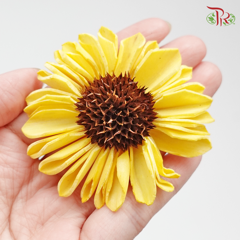 Preserved Sola Himawari - 8 pcs (3277-0-500) - Pudu Ria Florist