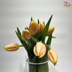 Tulip