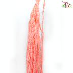 Preservative Amaranthus Hanging - Light Peach - Pudu Ria Florist