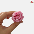 21 Blooms Preserved Rose