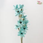 Dried Sunflower Seed Flower