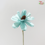 Dried Sunflower Seed Flower