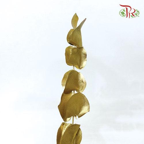Eucalyptus Dyed Metal Preservatives - Gold - Pudu Ria Florist