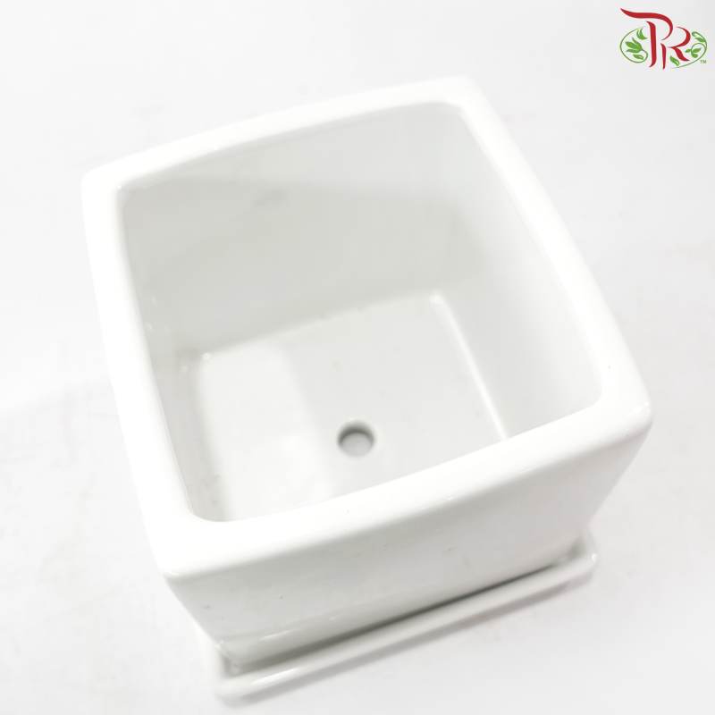 GF-8107-3 Asst Pot (With Color Options)