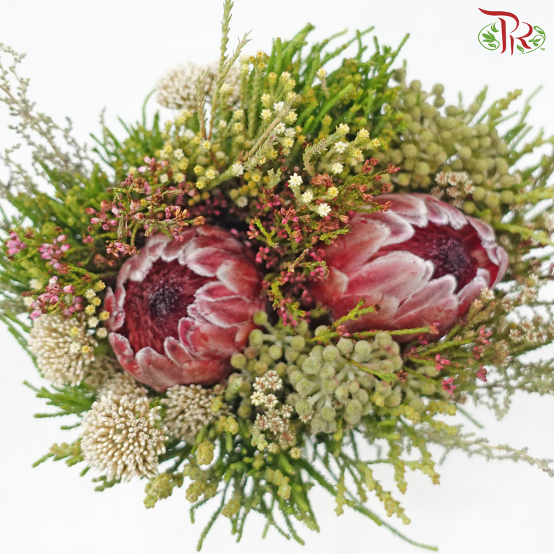 Safari 2 Protea Bouquet *Random Choose Cone / Fillers*