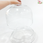 409426 - Glass Dome