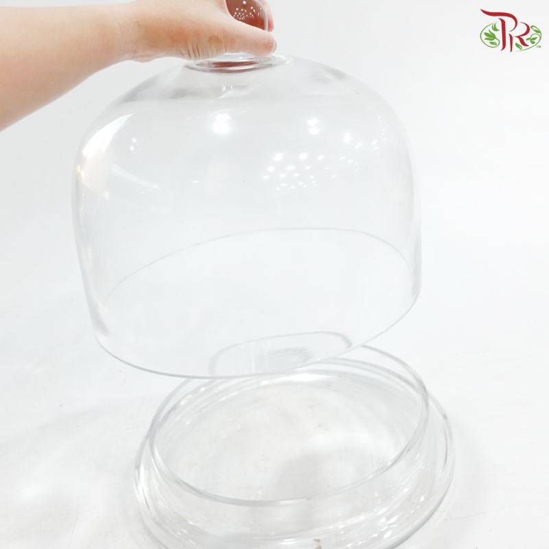 409426 - Glass Dome