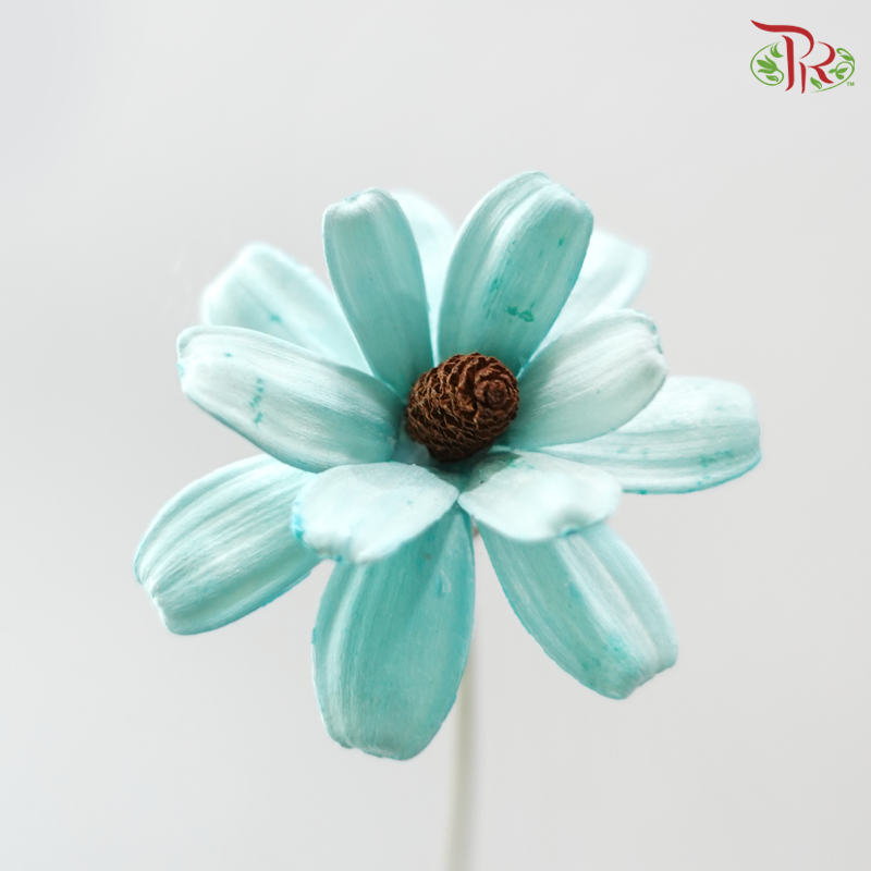 Dried Sunflower Seed Flower