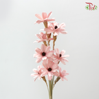 Dried Sunflower Seed Flower