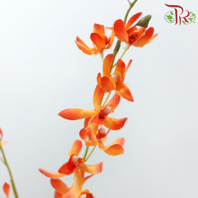Artificial Spider Orchid Spray - 3 Stems