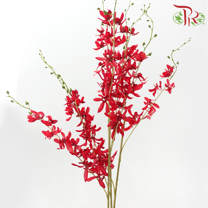 Artificial Spider Orchid Spray - 3 Stems