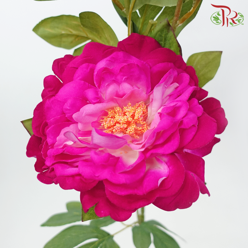 45" - Artificial Peony Spray - Cherry Pink (2 Stems)-Cherry Pink-Pudu Ria Florist-prflorist.com.my