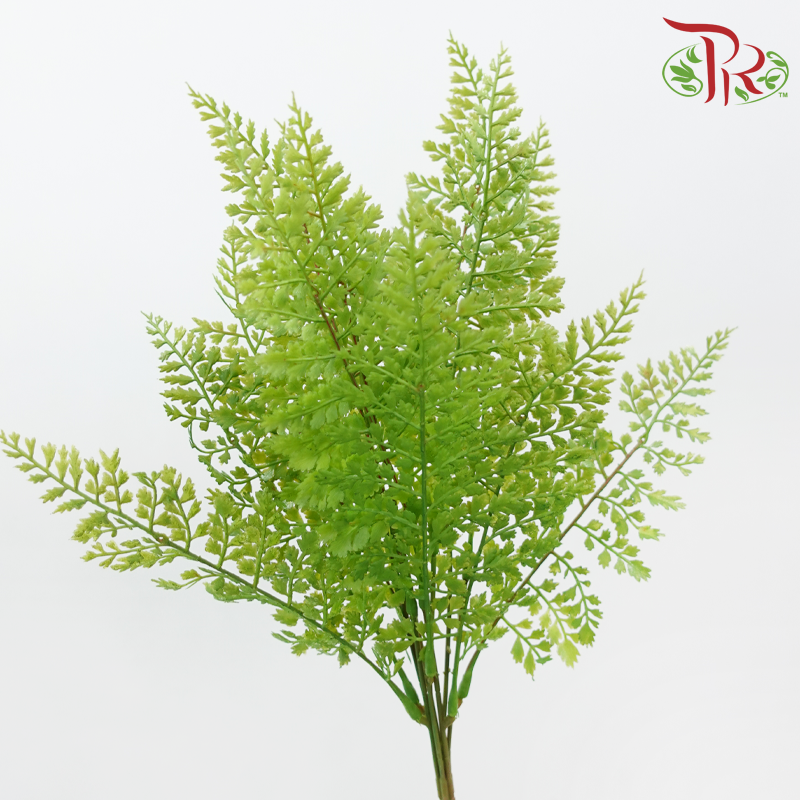 Artificial Asparagus Fern