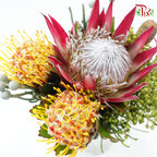 Assorted Bunch - Protea Clare & Leucospermum
