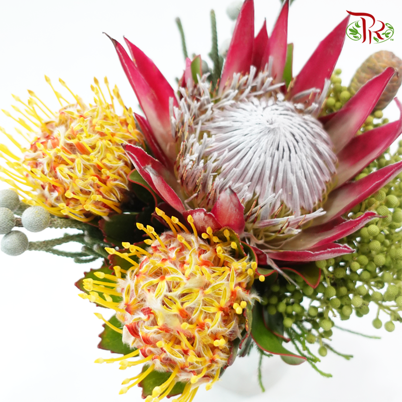 Assorted Bunch - Protea Clare & Leucospermum