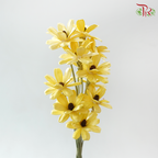Dried Sunflower Seed Flower