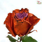STAR Rose Dyed