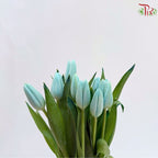 Tulip