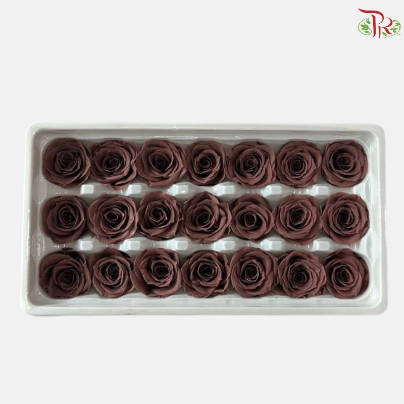 21 Blooms Preserved Rose