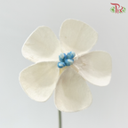 Dry Violet