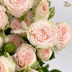 Rose Spray