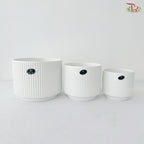 TX-JW7450000 White Pot (With Size Option)