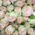 Rose Spray