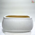 SJ-S-49 White Rectangular Pot