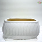 SJ-S-49 White Rectangular Pot