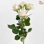 Rose Spray