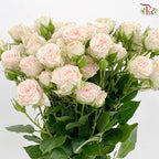 Rose Spray
