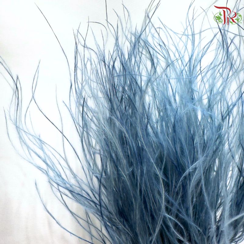 Dry Feather Grass